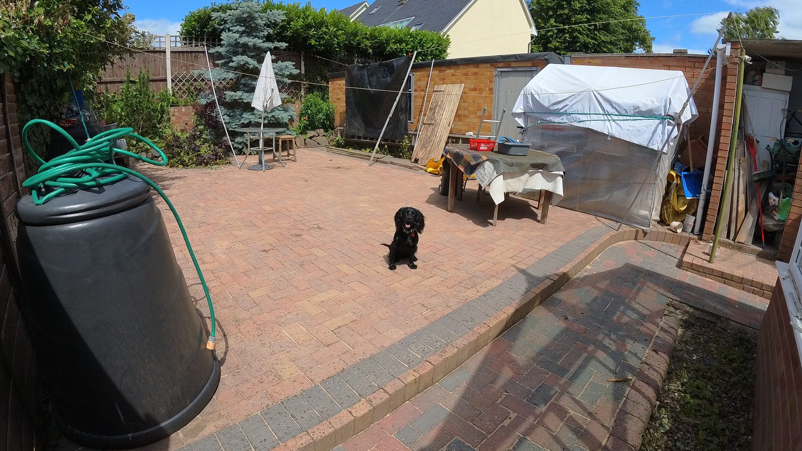 Rear patio after cleaning